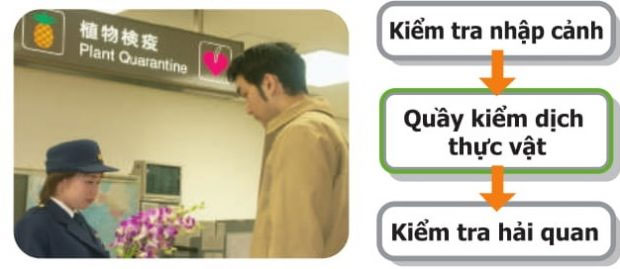 Nữ sinh bị bắt vì mang 360 quả trứng vịt lộn vào Nhật