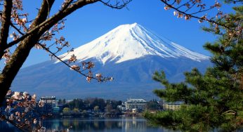 Vì sao tôi chọn Nhật Bản du xuân đầu năm
