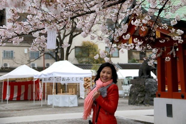 Phố vắng mình em đi tìm thêm cảm hứng Sakura