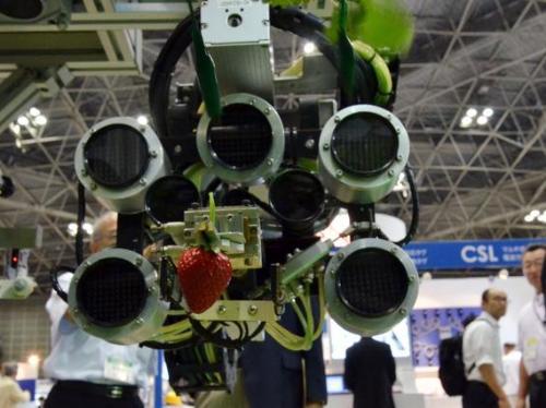 ro-bot-hai-dau-tay1-nhatbanaz