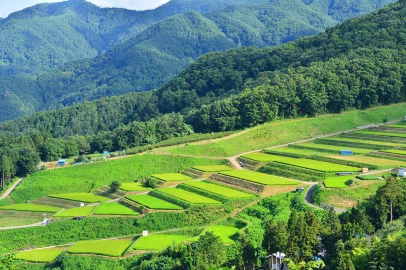Khám phá nét đẹp tự nhiên và văn hóa truyền thống của Yamagata
