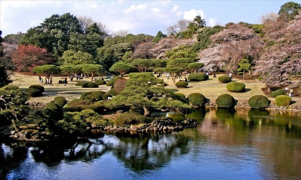 shinjuku-gyoen-tokyo