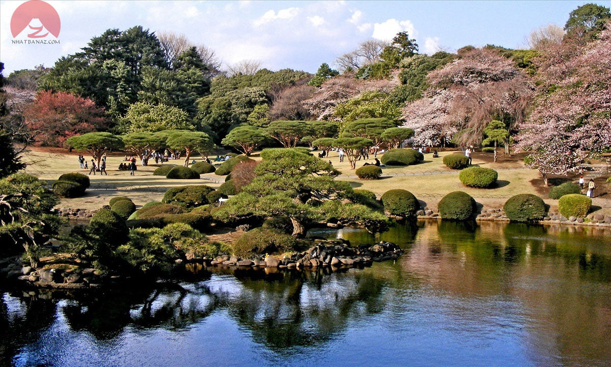 shinjuku-gyoen-tokyo