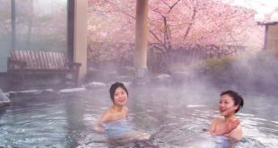 Du xuân tắm onsen và ngắm hoa anh đào nở sớm Kawazu