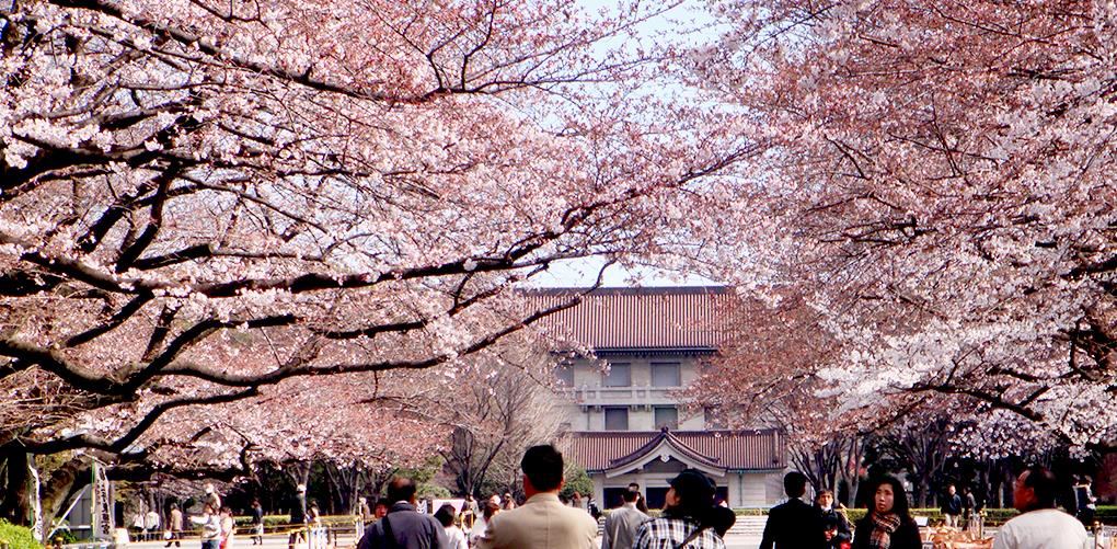 Công viên Ueno – Điểm đến lý tưởng của thành phố Tokyo - Du lịch Nhật Bản  NHATBANAZ